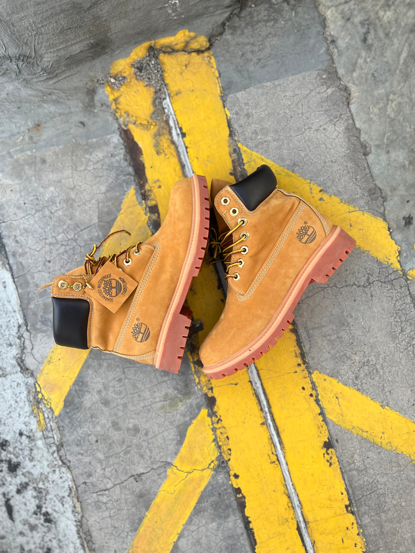 Timberland 6 Inch