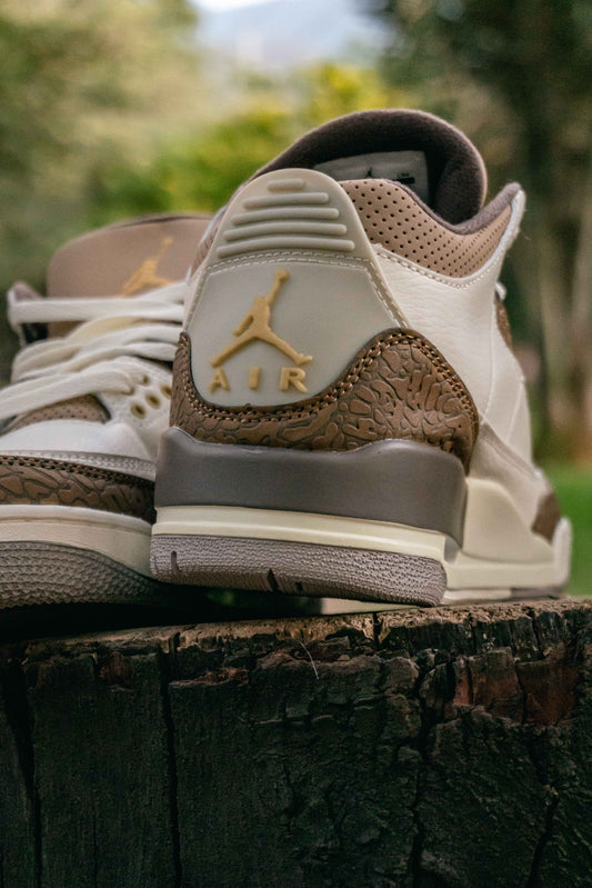 Air Jordan Retro 3 Palomino