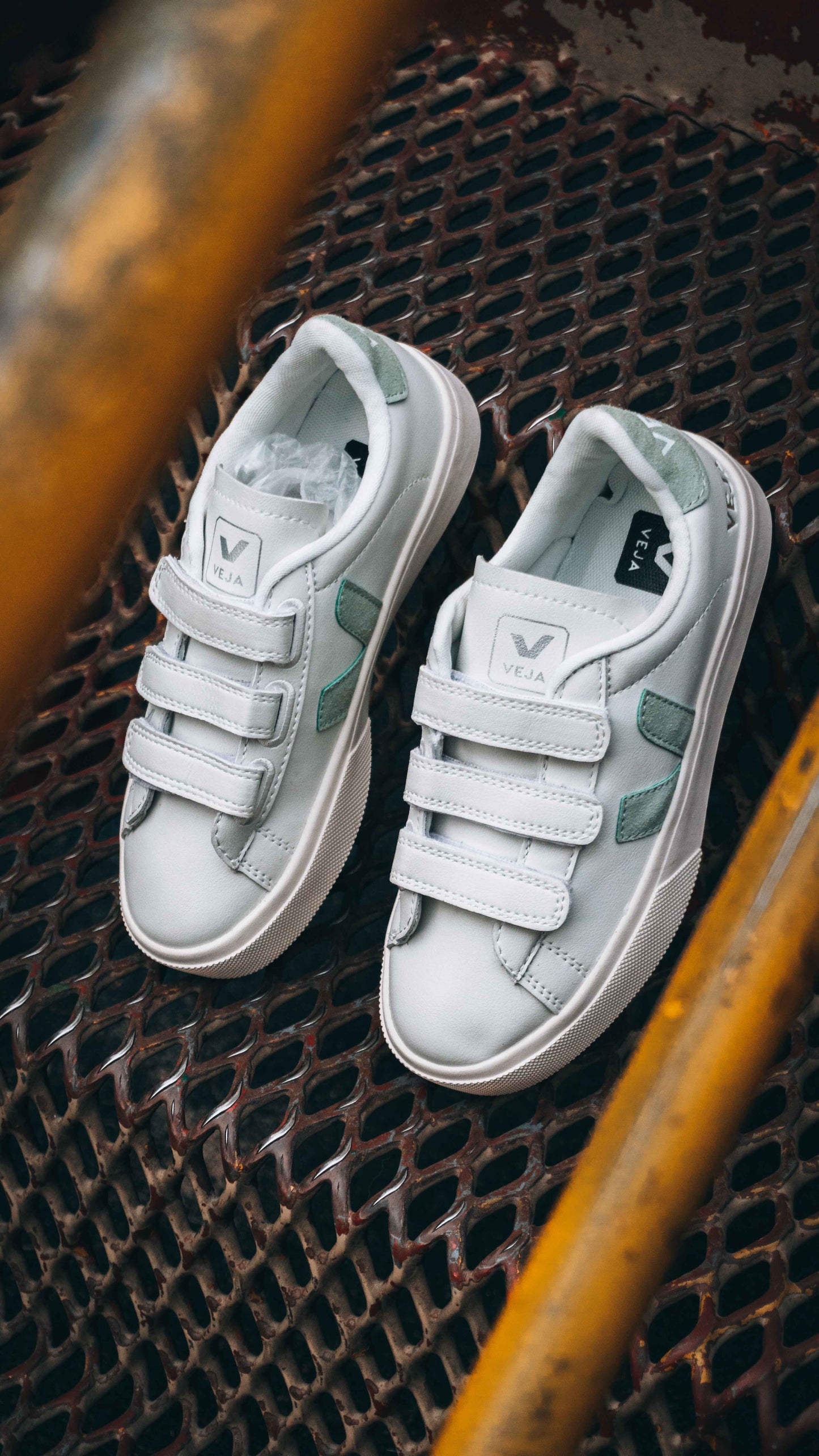 Veja Recife Chromefree Leather