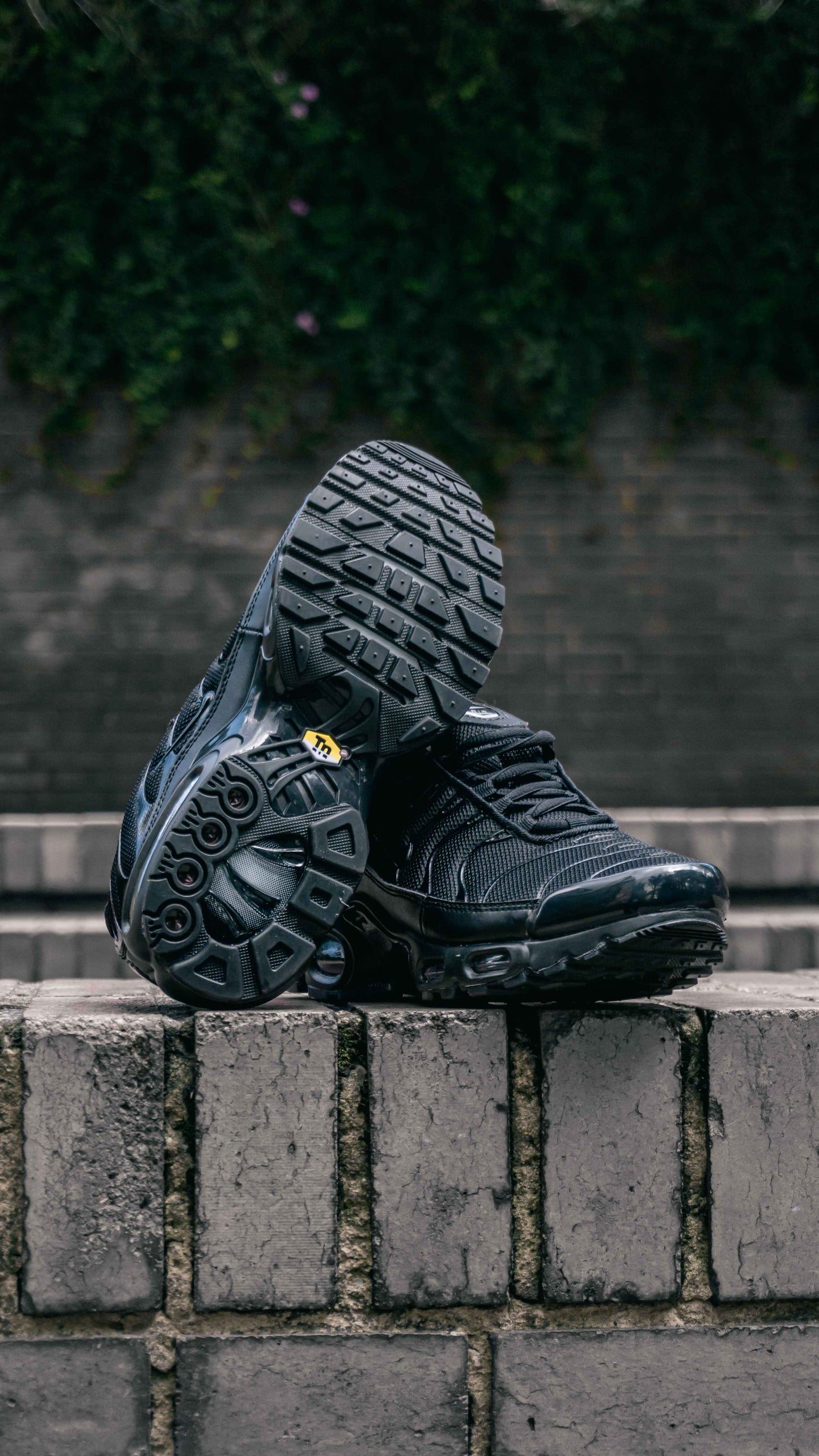 Nike Air Max TN Black