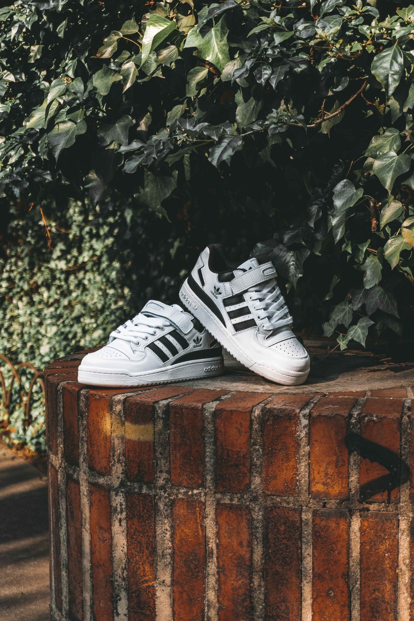 Adidas Forum Low Black and White