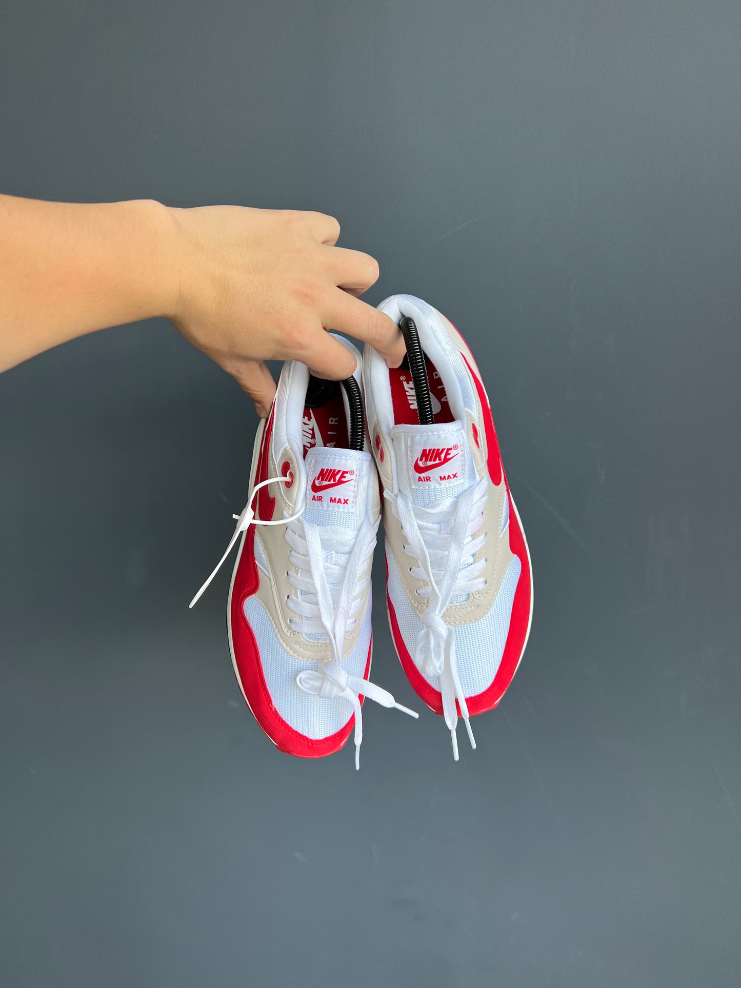 Nike Air Max 1 Anniversary