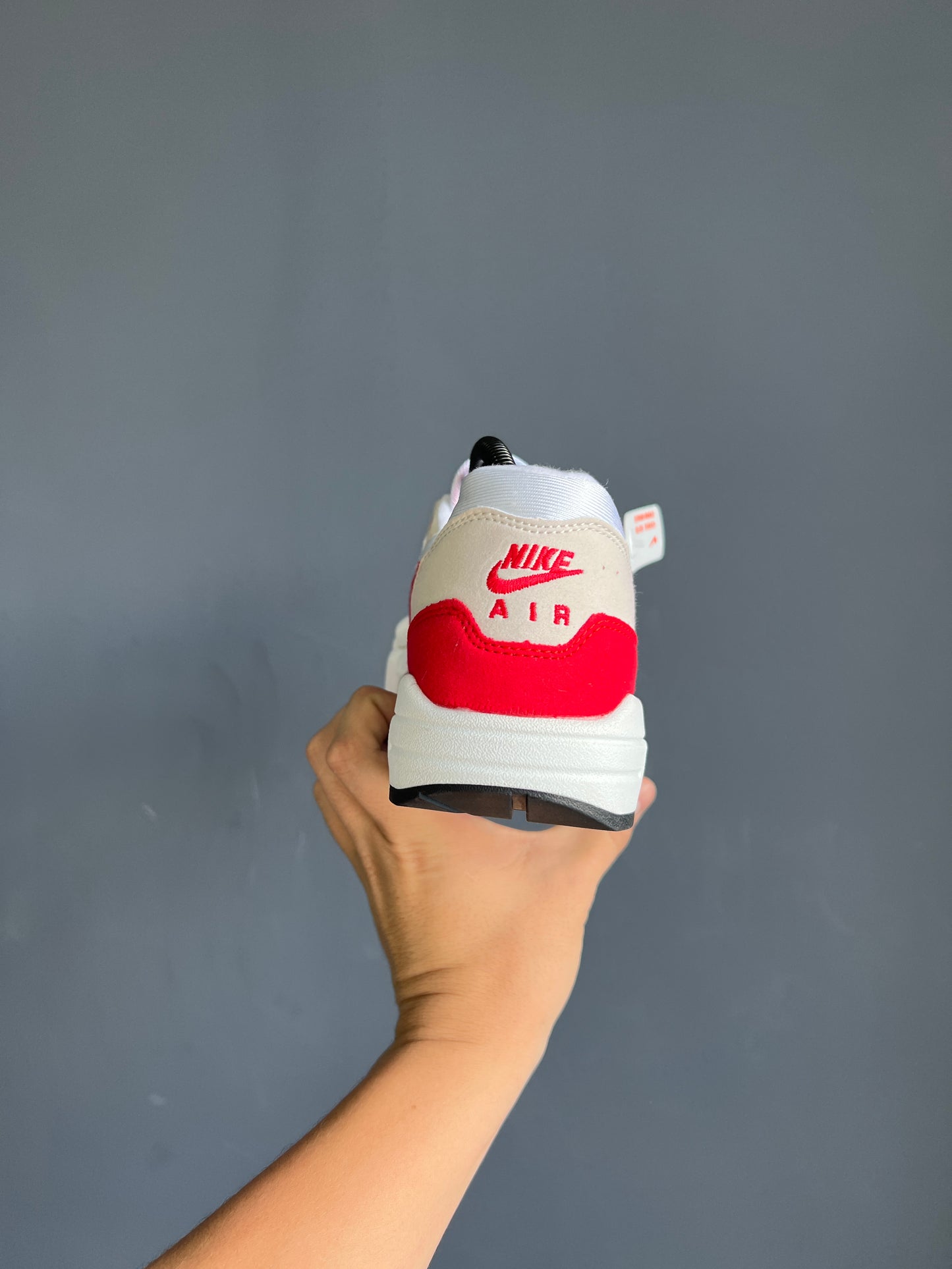 Nike Air Max 1 Anniversary