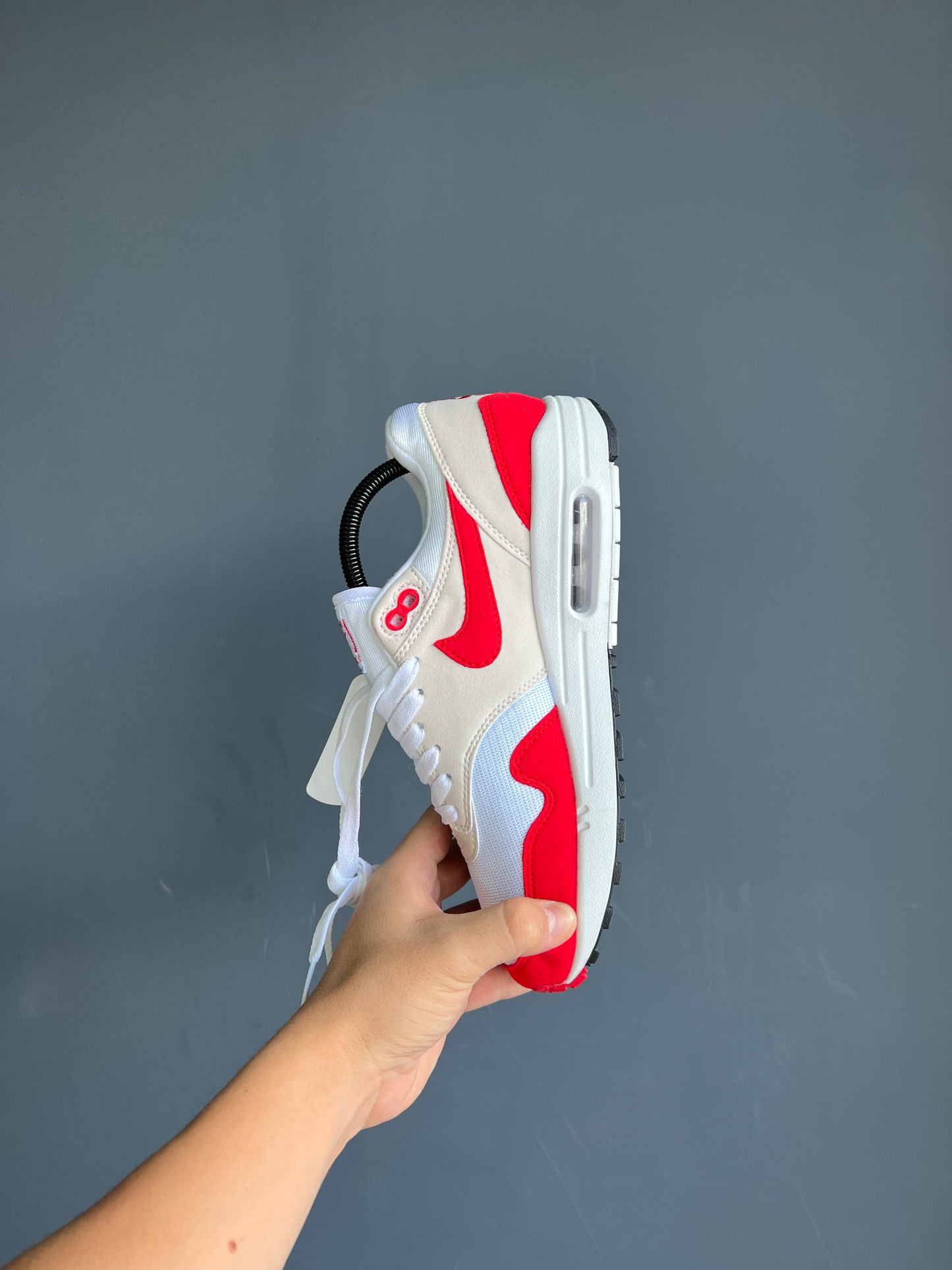 Nike Air Max 1 Anniversary