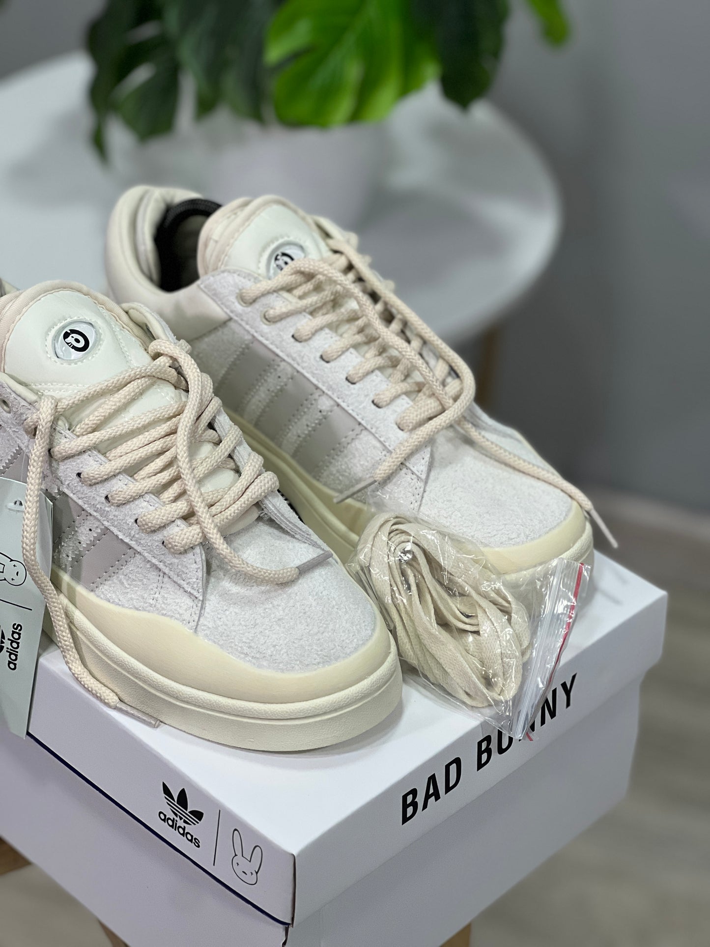 Adidas Campus x Bad Bunny