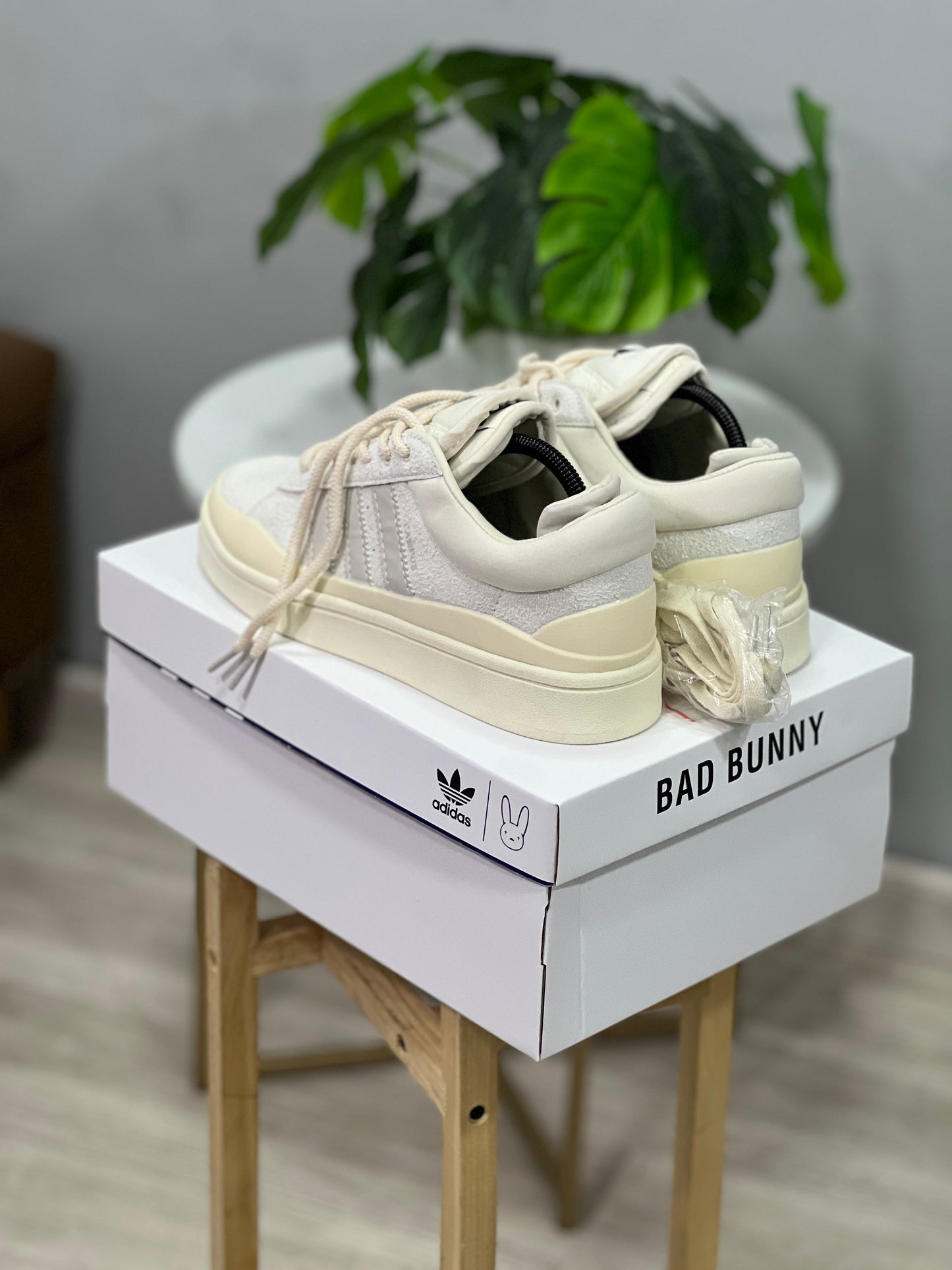 Adidas Campus x Bad Bunny