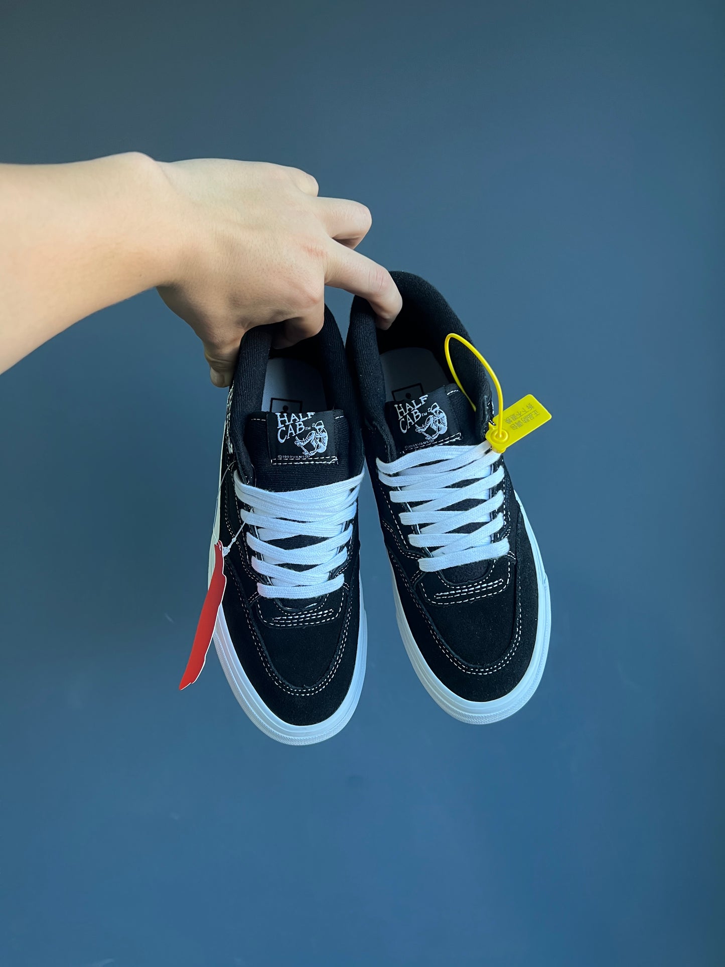 Vans Half Cab '92 Palace x GORE-TEX