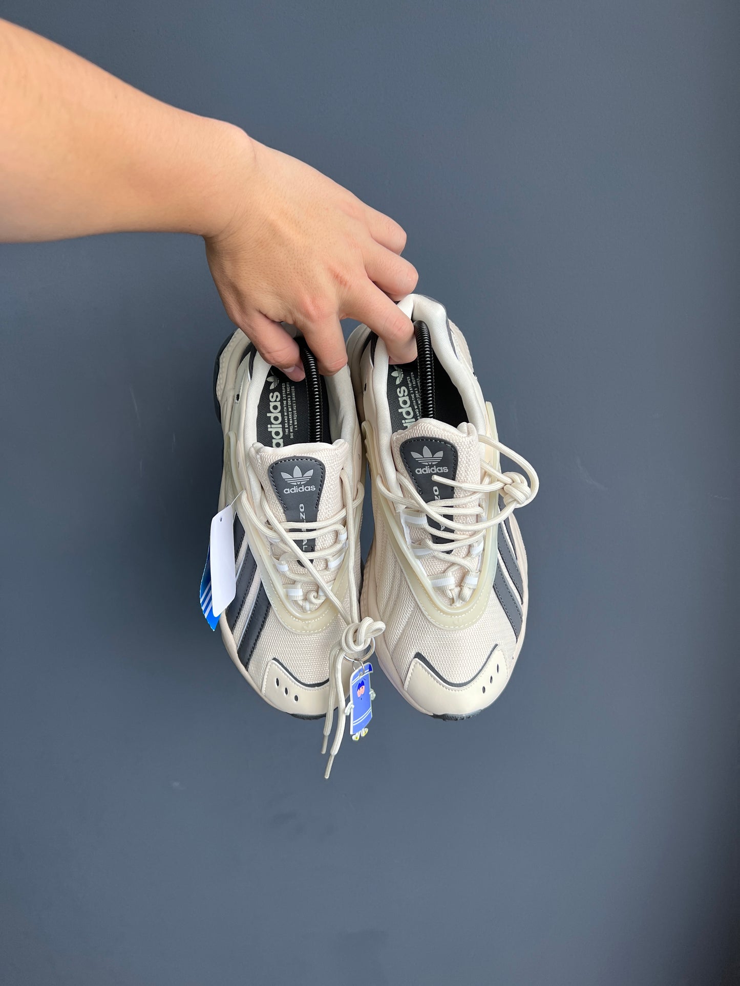 Adidas Originals Oztrail