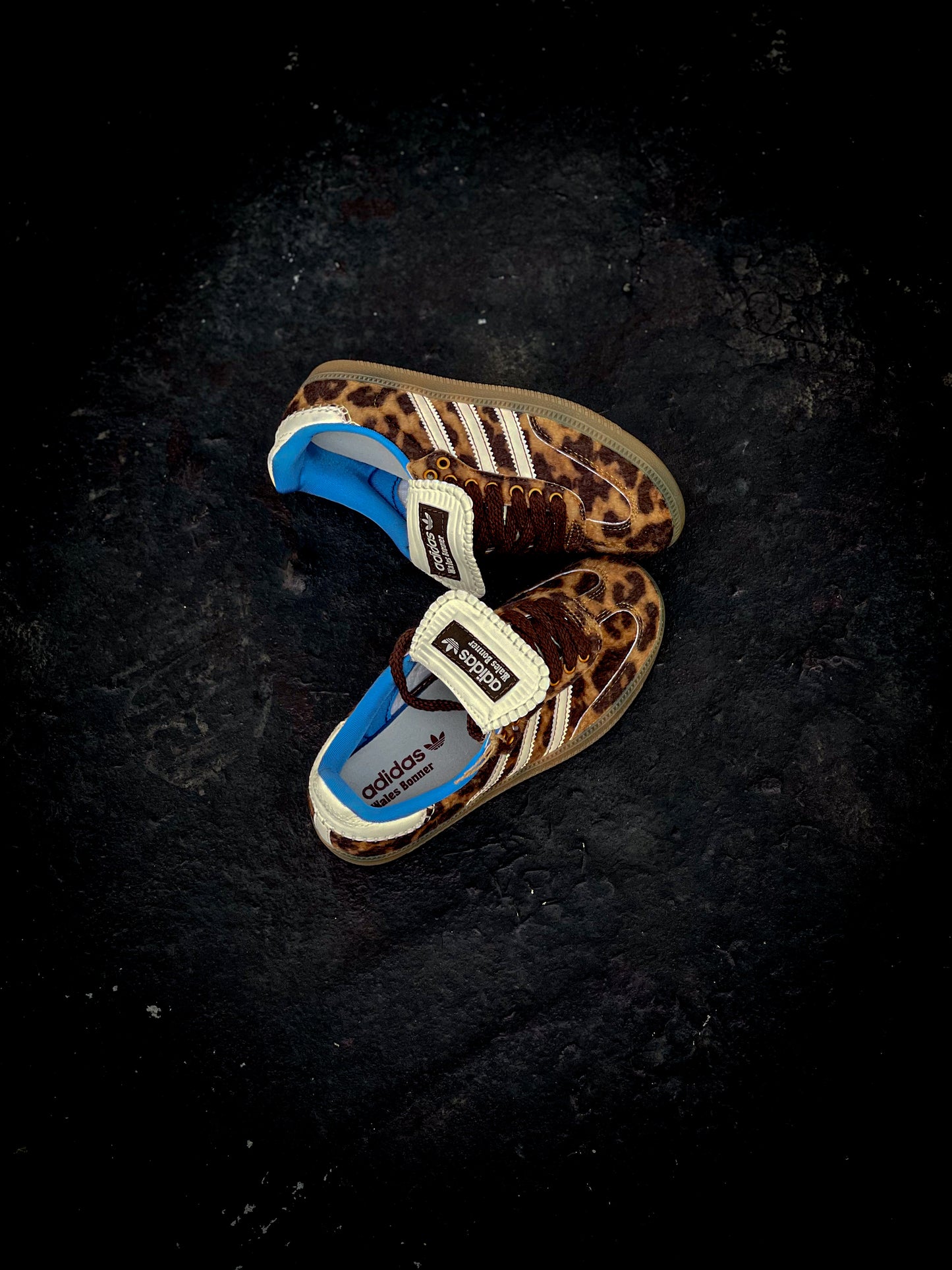 Adidas Samba x Wales Bonner Pony Leo
