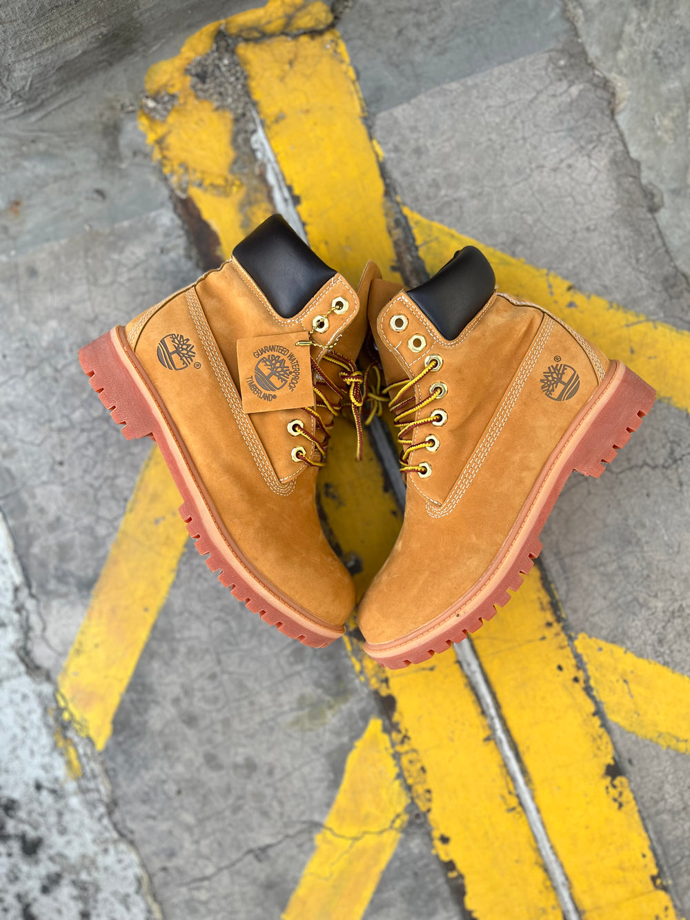 Timberland 6 Inch