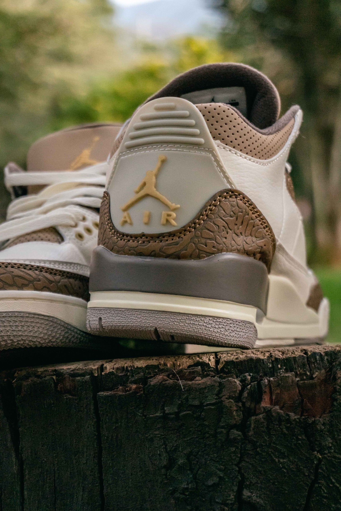 Air Jordan Retro 3 Palomino