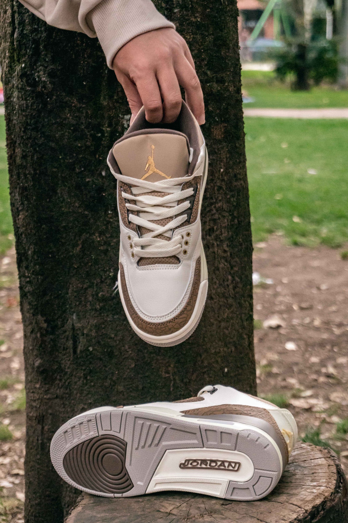 Air Jordan Retro 3 Palomino