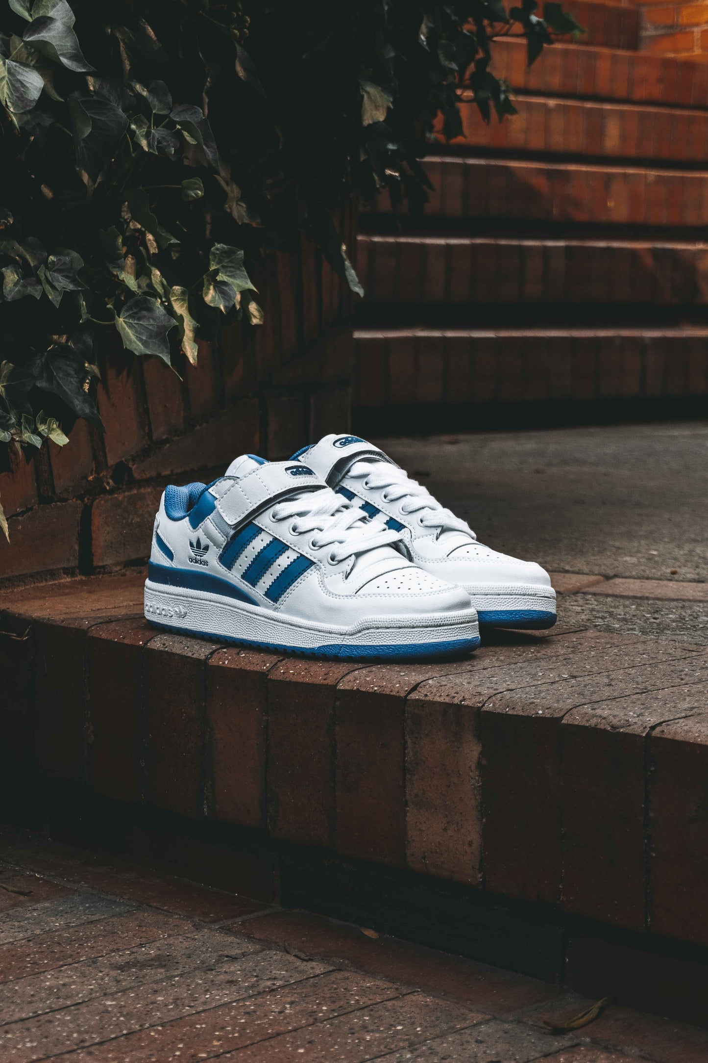 Adidas Forum Low Blue
