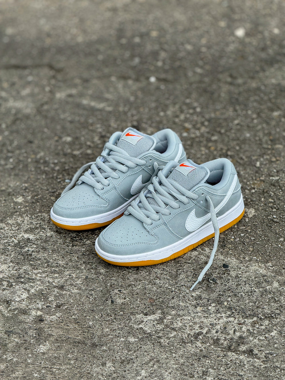 Nike Sb Dunk Low