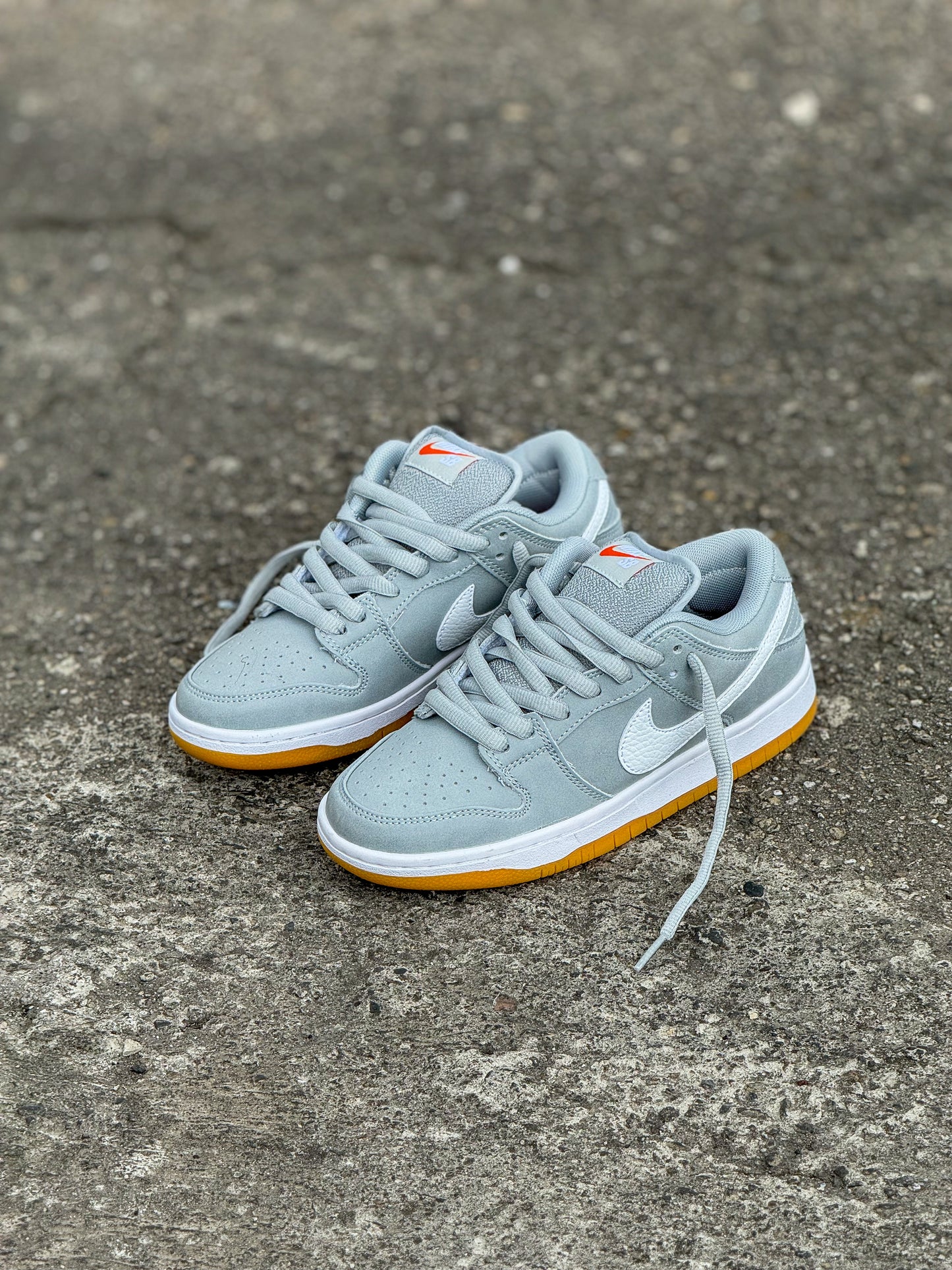 Nike Sb Dunk Low – Neverssad