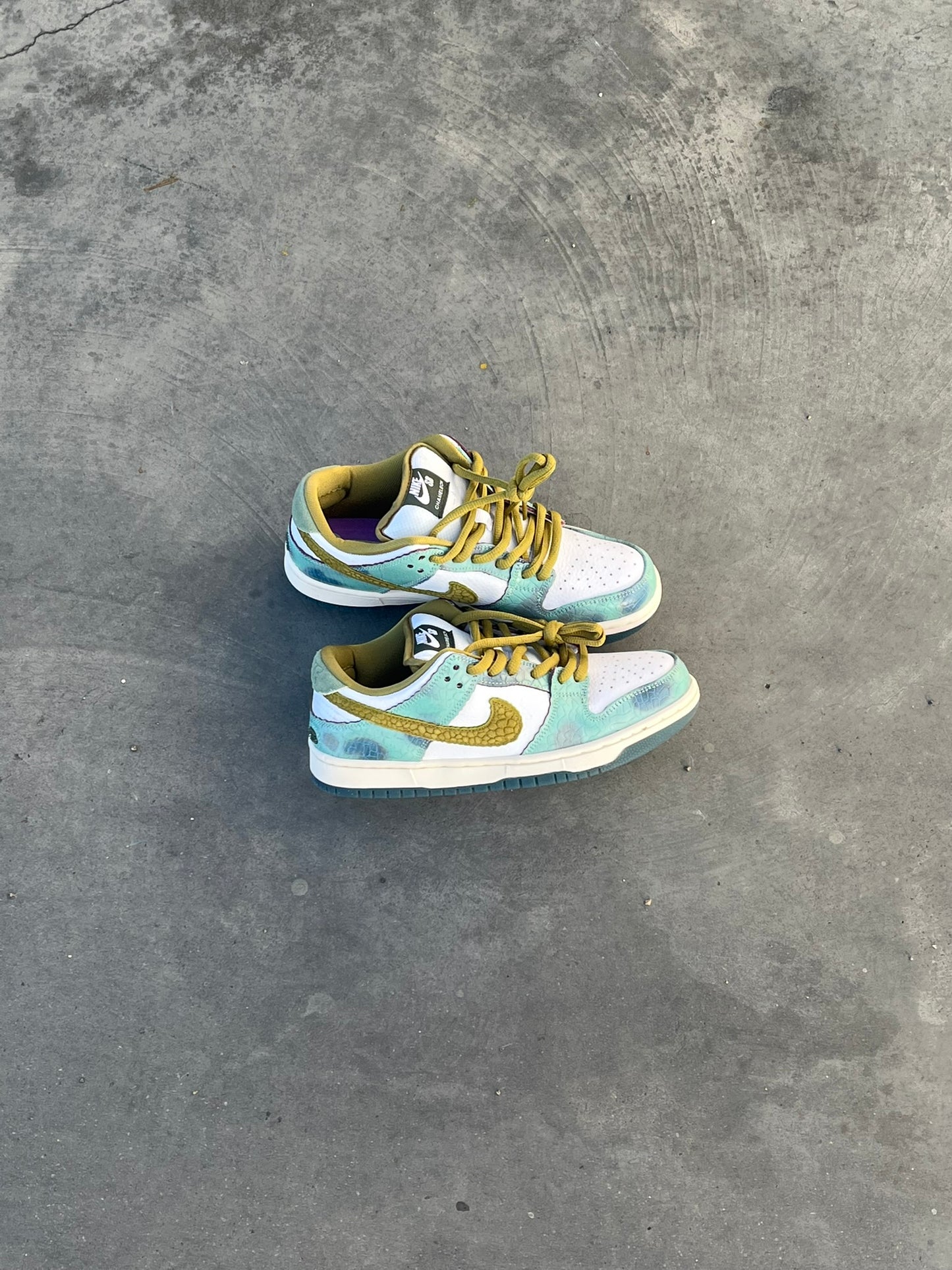 NIKE DUNK CAMALEON