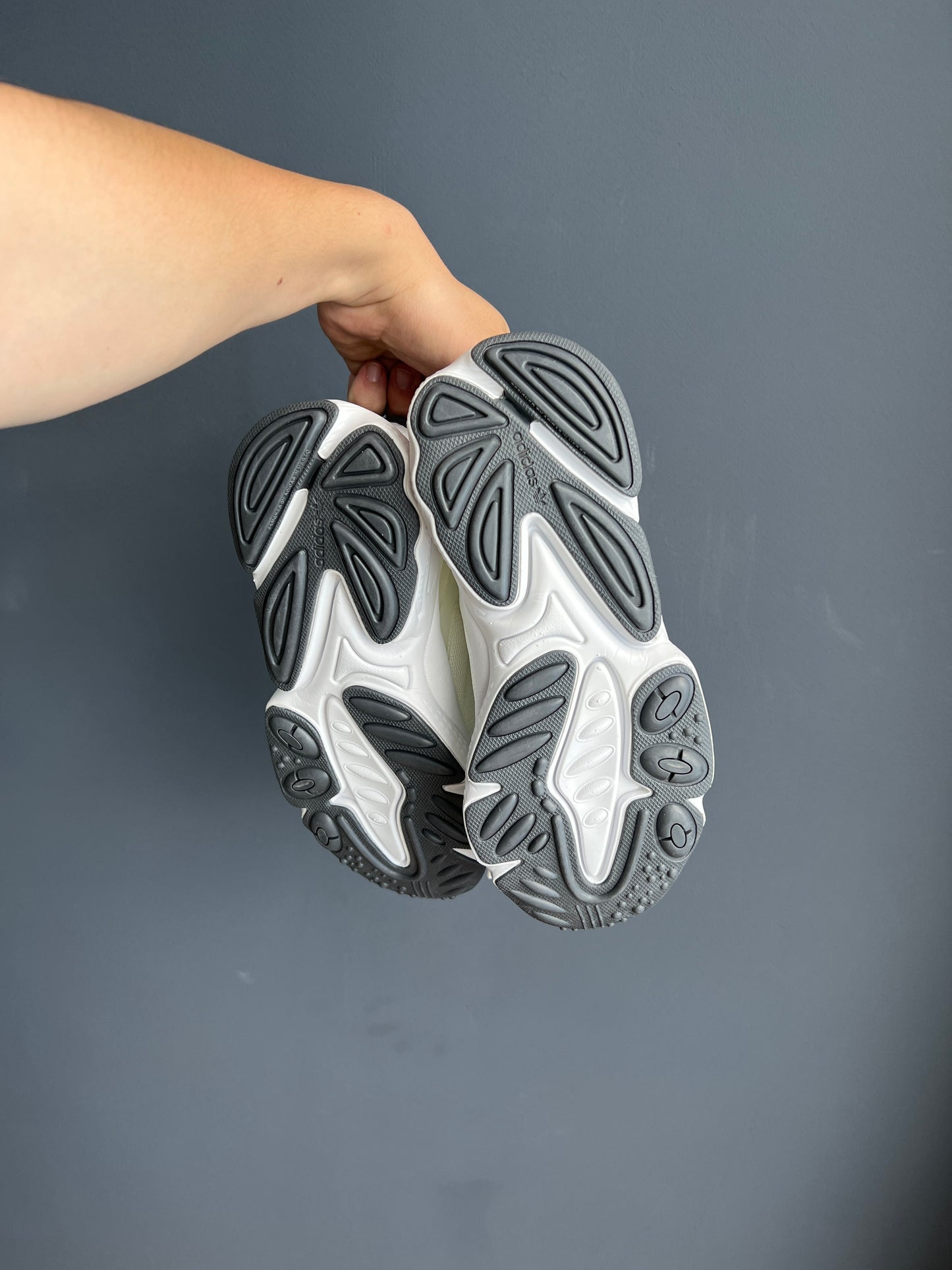 Adidas Originals Oztrail