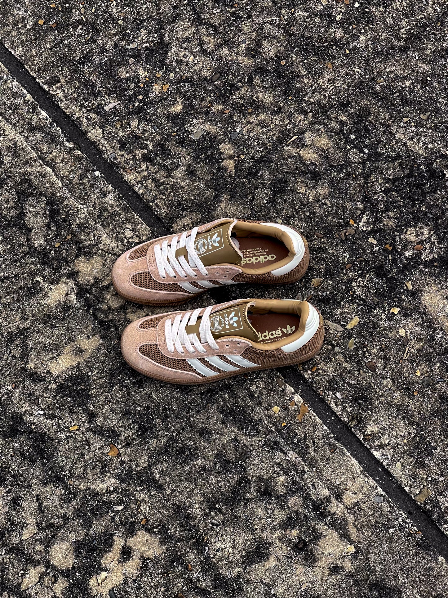 Adidas Samba Cardboard