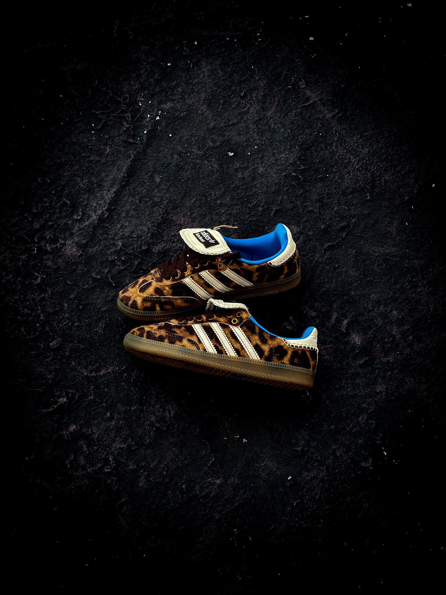 Adidas Samba x Wales Bonner Pony Leo