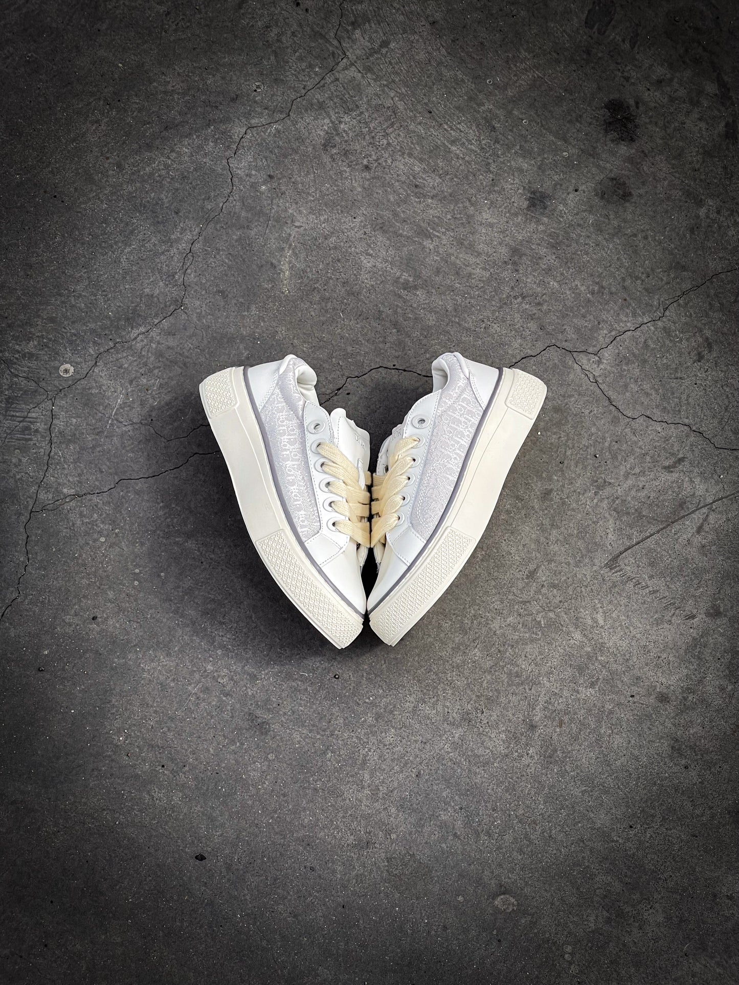 Dior B33