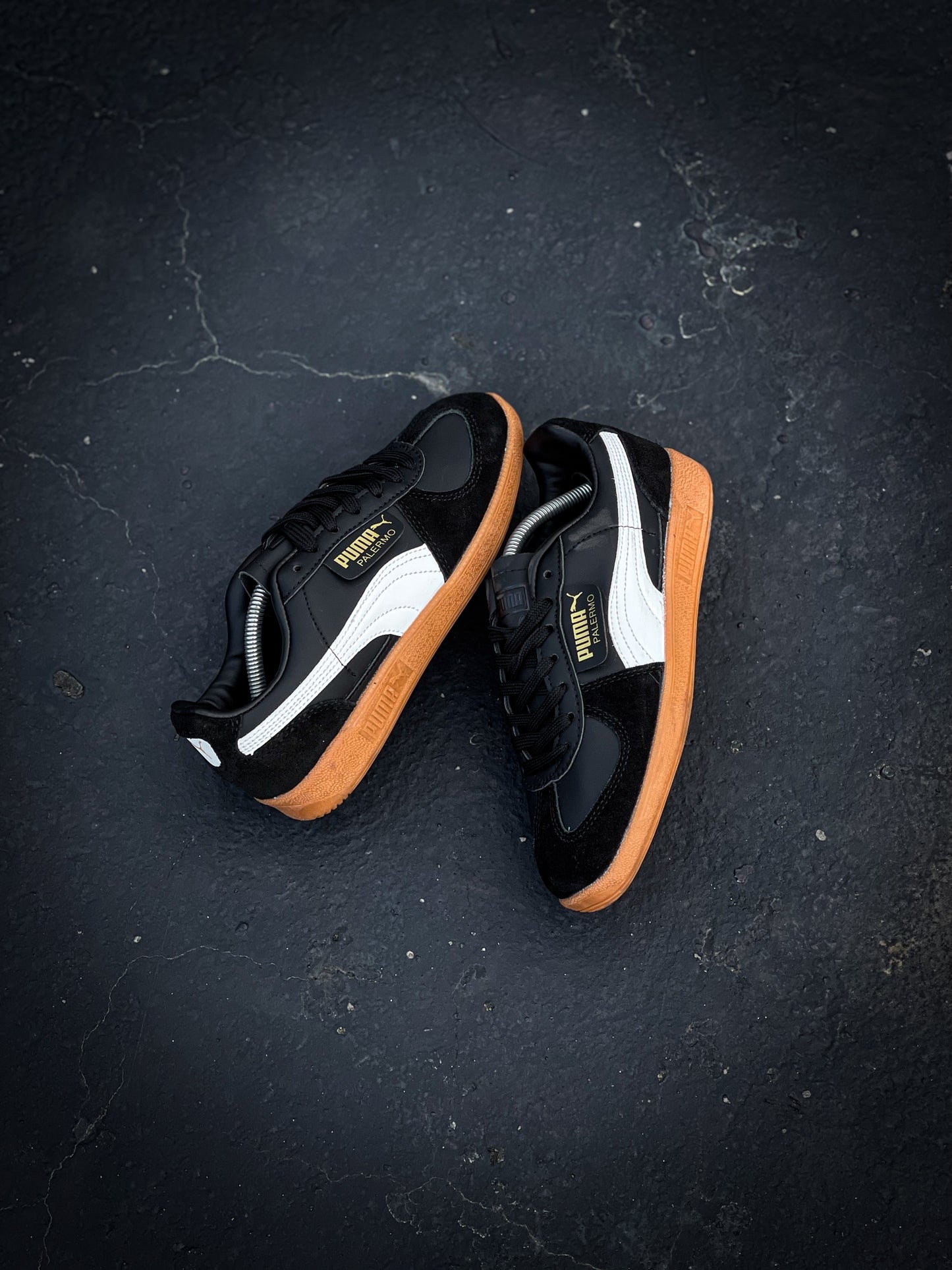 Puma Palermo