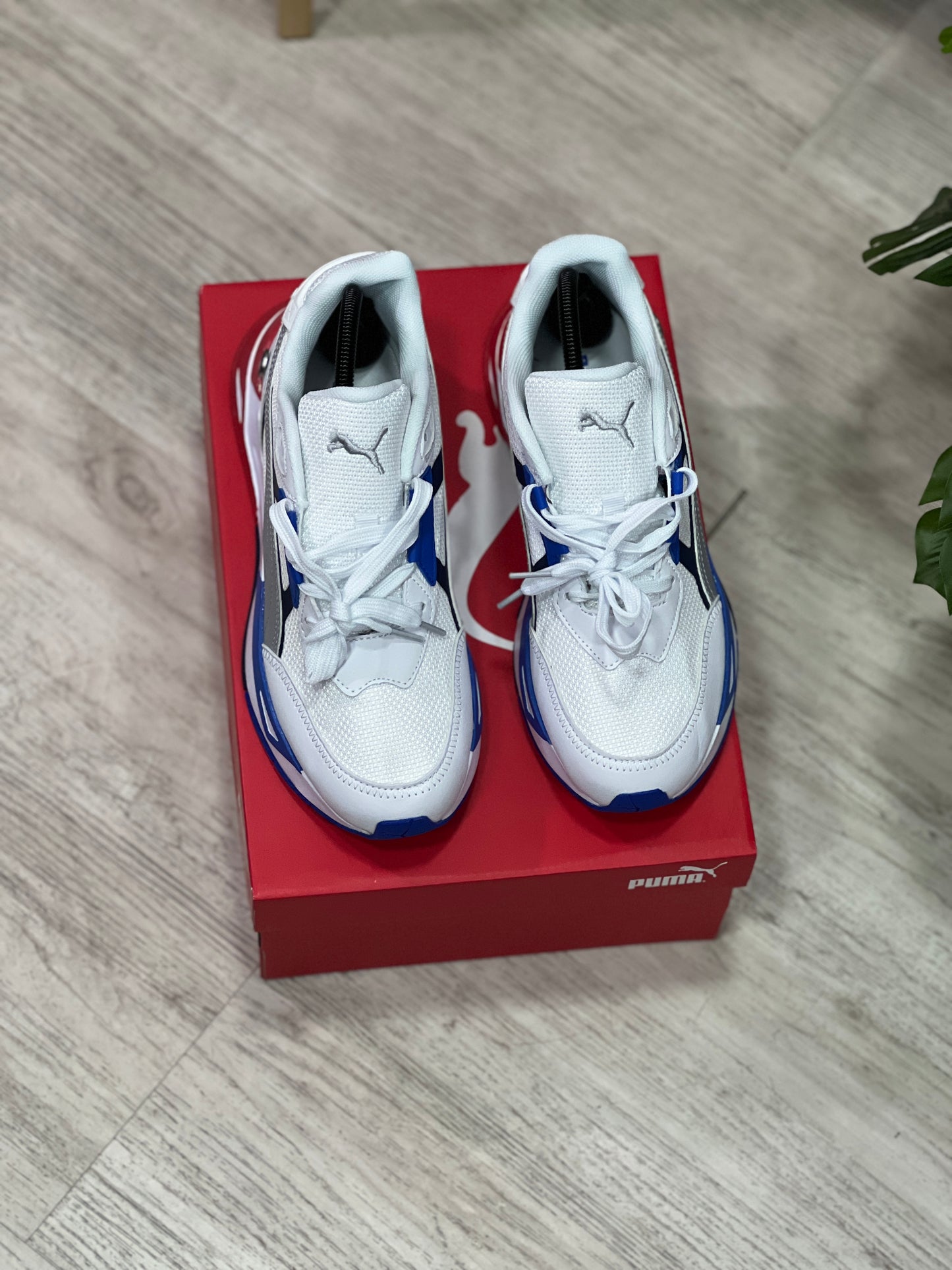 Puma