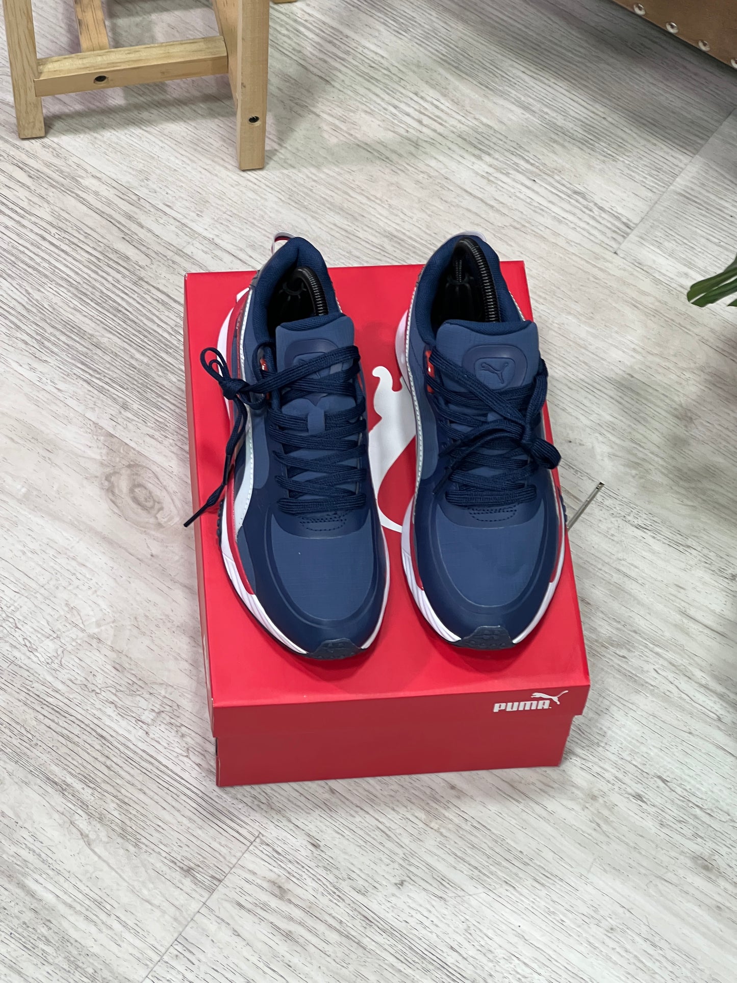 Puma