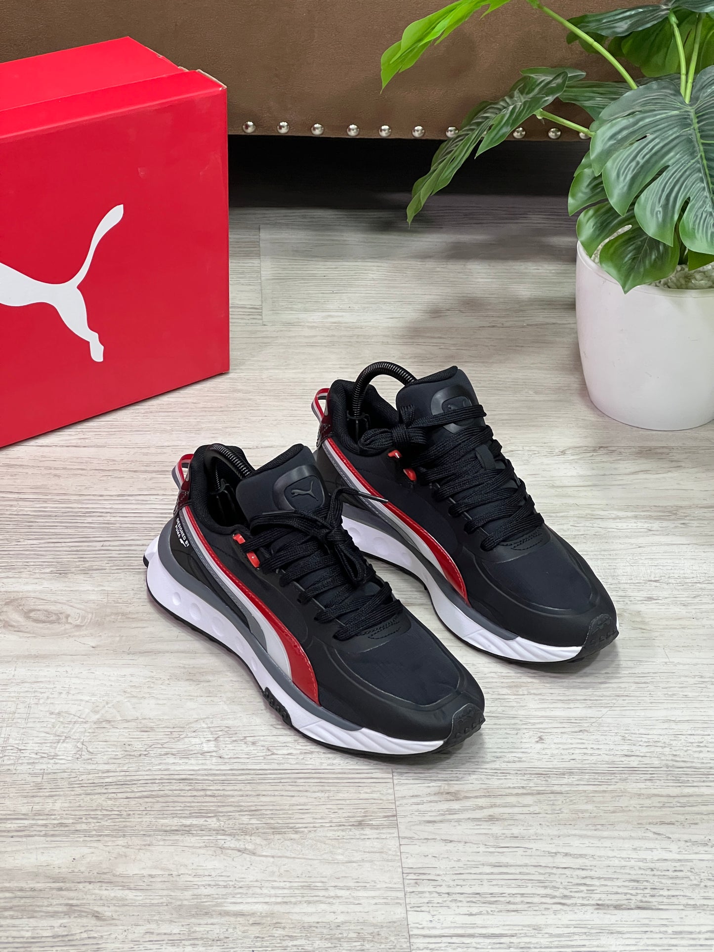 Puma